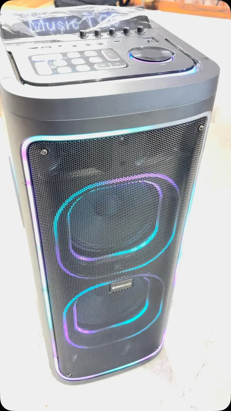 Party speaker